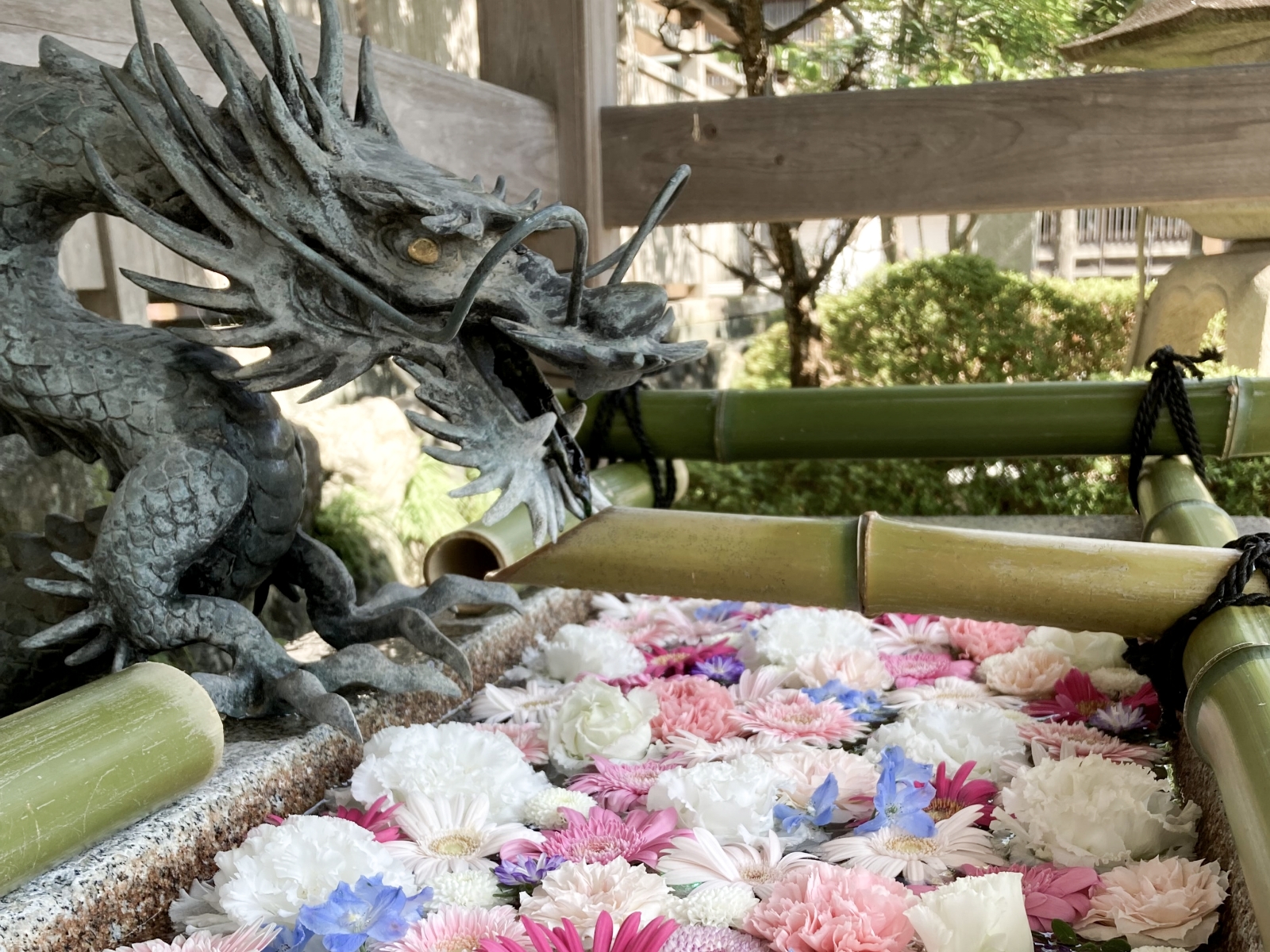 神戸宗社の花手水