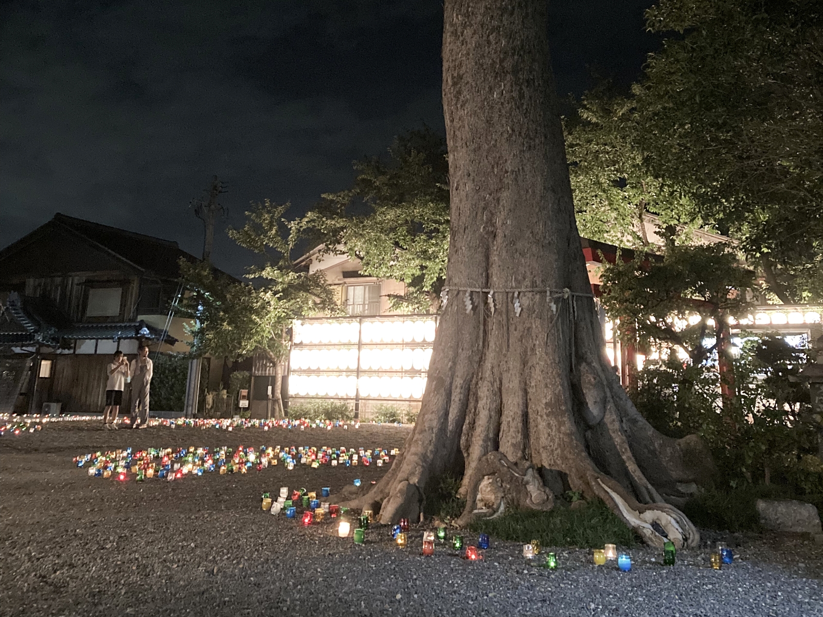 神戸宗社の神木の周りにランタンが並べられいる